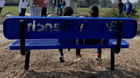 Buddy Bench: Learning