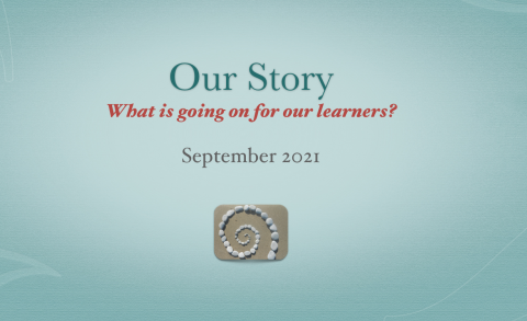 Professional Development Day Our Story:  What is going on for our learners?